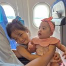 도경자동차병원 | 2박 3일 부산방문기