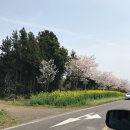 예래 본향당 이미지