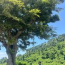 기정농장 이미지