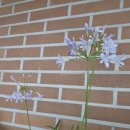 한스행정사사무소 이미지