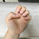 메이크영 | [내돈내산] 상한 손톱 심폐소생! 올리브영 웨이크메이크 네일건 핑크 영양제 솔직후기