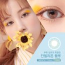 단델리온 이미지