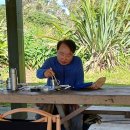 7월 19일 Long Bay Coastal Walks 이미지