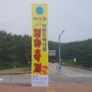 백사장항(대하) 이미지