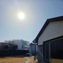 하도살이 이미지