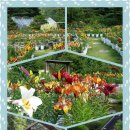 대아매점 이미지