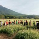 여고로 | 여고 동창 양산모임 참석자 이름 삼행시 후기