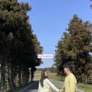 영수목장 이미지