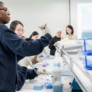 글로벌양성센터 이미지