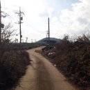 동일리-6 이미지