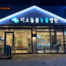 상록동물병원 이미지