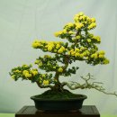 신산공원 이미지