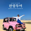 설매농장 | 나트랑 근교 사막투어 '판랑투어'_(양떼목장, 포도농장, 사원, 판랑사막)