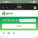DB 종신보험 이미지