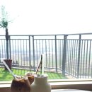 언덕위하얀어린이집 | 영암 월출산 뷰 카페 추천 언덕위에하얀집 + 왕인문화축제 영암벚꽃스팟