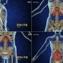 저스트코어
