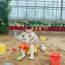 홍서농장 네이버블로그