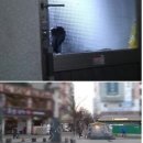 25시스크린골프 이미지