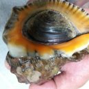 저바다 펜션 이미지