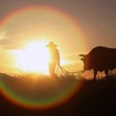 휴먼골프존 이미지