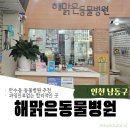 해맑은동물병원 | 해맑은동물병원 | 인천만수동, 과잉진료없는 합리적인 동물병원추천!