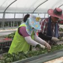 신교농장 이미지