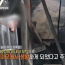 남성농장 네이버블로그