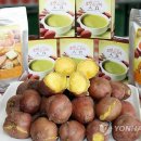 몽산포영농조합법인 연합뉴스