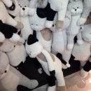 (주)누비랩 서울지점 | 망원동 셀프사진관 포토랩플러스 라이브러리 데이트코스 놀거리 보정가능 네컷사진