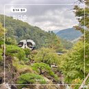 숲실제3농로 | 경기도 광주 화담숲 예약 단풍시기 모노레일 날씨 꼭 찍어야 할 포토존