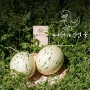 세정농장 한국경제