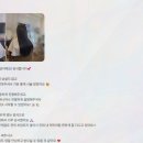 다다 붙임머리&케어샵