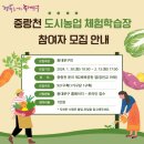 중랑천 제3체육공원 이미지