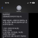 댕댕이숲 이미지