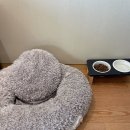 그랜드머큐어 앰배서더 서울용산 이미지
