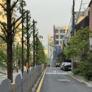 서초중앙로28길 16 | [교대역 맛집] 하레 Hare 이자카야 사시미 토마토나베 쿠시야키 내돈내산 후기