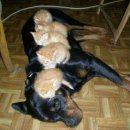 이너피스 이미지