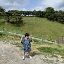 도윤목장 이미지