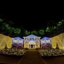 별빛정원 이미지