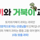 토끼와거북이과외