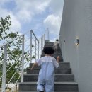 오베어커피