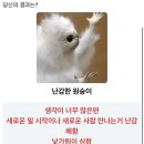 호텔당근 이미지