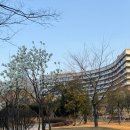 가야 2 | 김해 롯데호텔 골든가야 후기｜특선초밥🍣·회정식 2