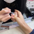 네일혜이리