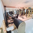 브이아이핏 이미지