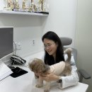 공덕 건강한 동물병원 이미지