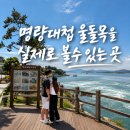 진도대로 | 남해 가볼만한 곳 진도 이충무공 승전공원, 울돌목 스카이워크 초등아이와 함께 가보니?