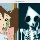 낭만고양이 이미지