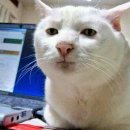 아이스크림마트 이미지