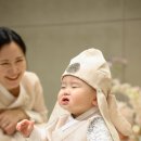 더목화